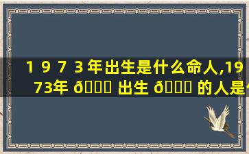 １９７３年出生是什么命人,1973年 🕊 出生 🐈 的人是什么命的人